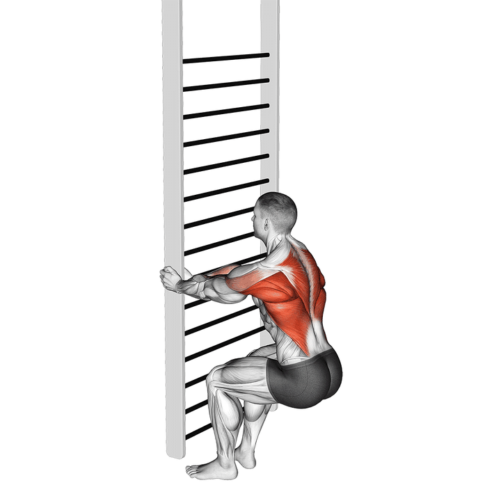 Demonstration of the simple style bodyweight squatting row