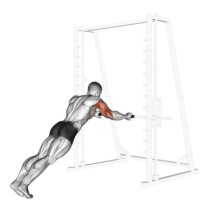 Demonstration of the triceps press
