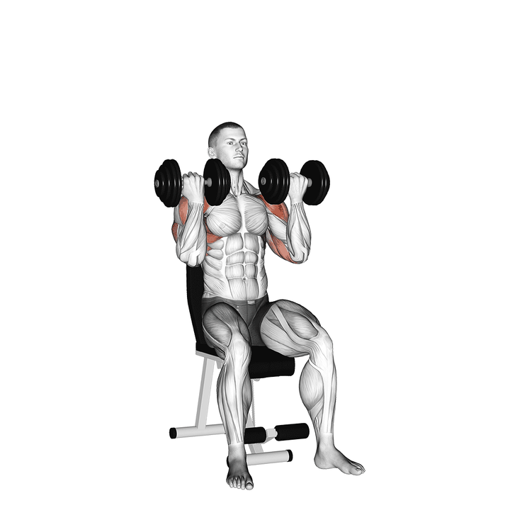 Demonstration of the dumbbell arnold press