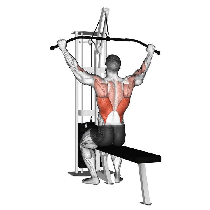 Demonstration of the cable pulldown (pro lat bar)