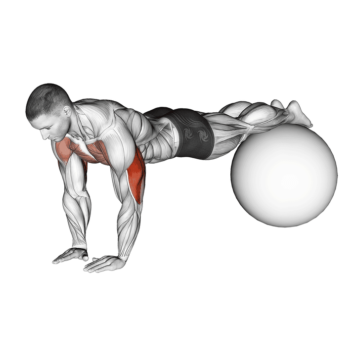 Demonstration of the narrow push-up on exercise ball