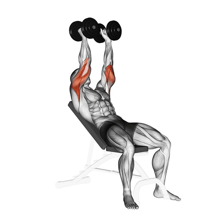 Demonstration of the blunt dumbbell incline triceps extension