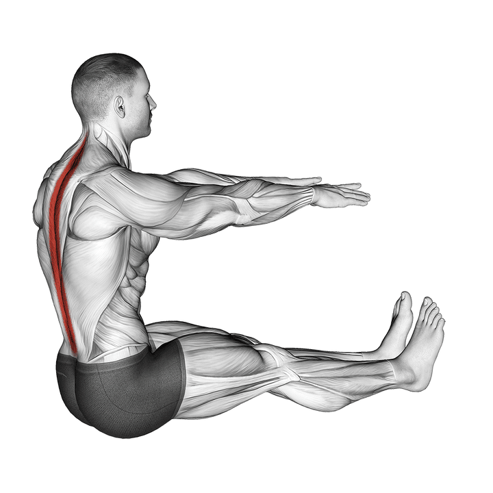 Demonstration of the spine stretch