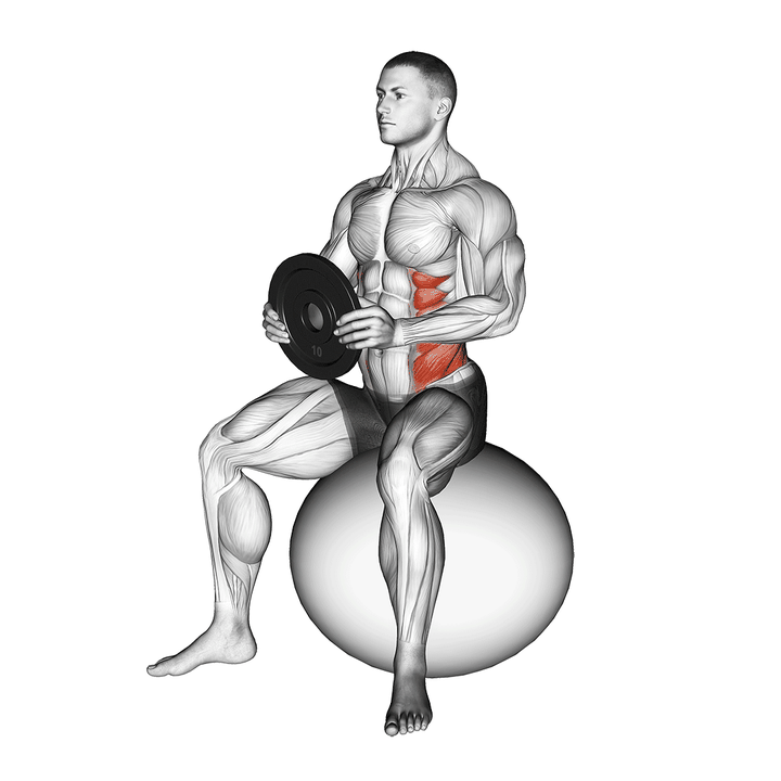Demonstration of the weighted seated twist (on stability ball)