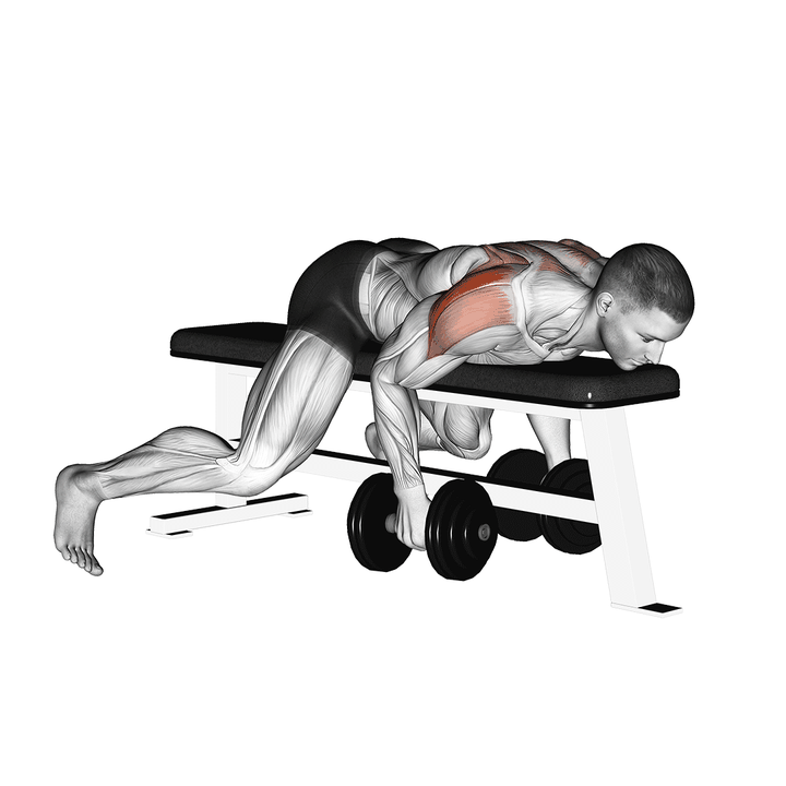 Demonstration of the dumbbell lying rear lateral raise