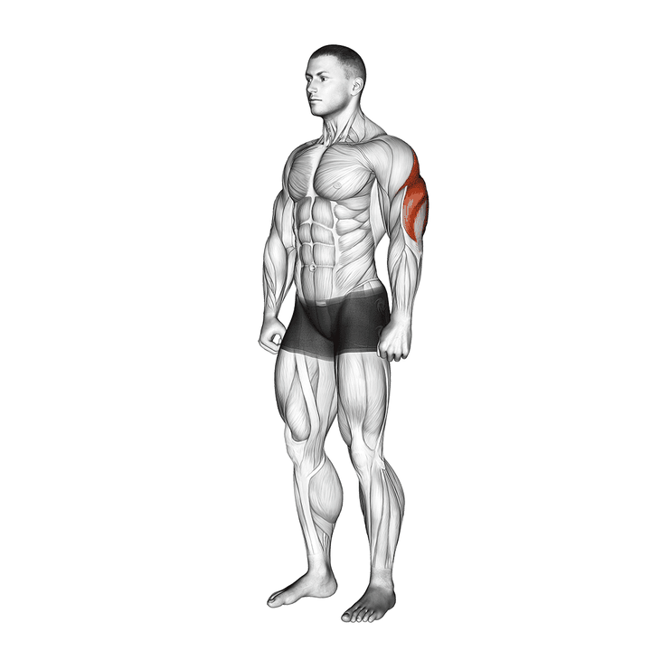 Demonstration of the triceps stretch