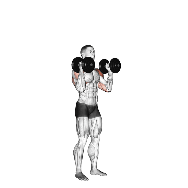 Demonstration of the dumbbell standing palms in press