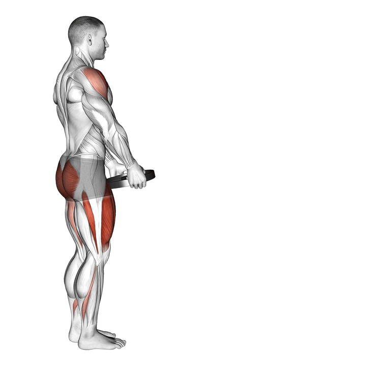 Demonstration of the weighted lunge with swing