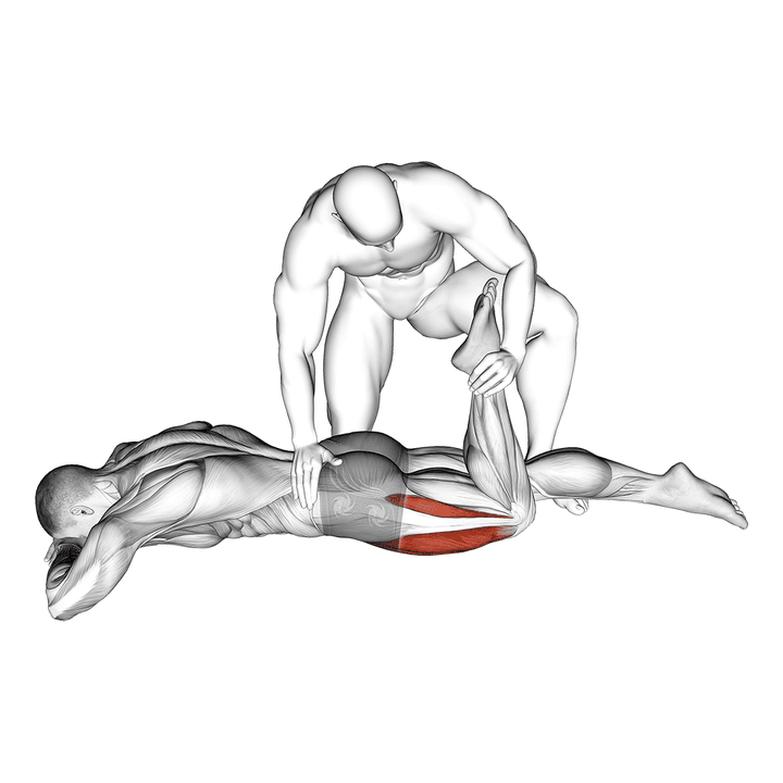 Demonstration of the assisted prone lying quads stretch