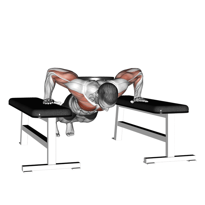 Demonstration of the weighted drop push up