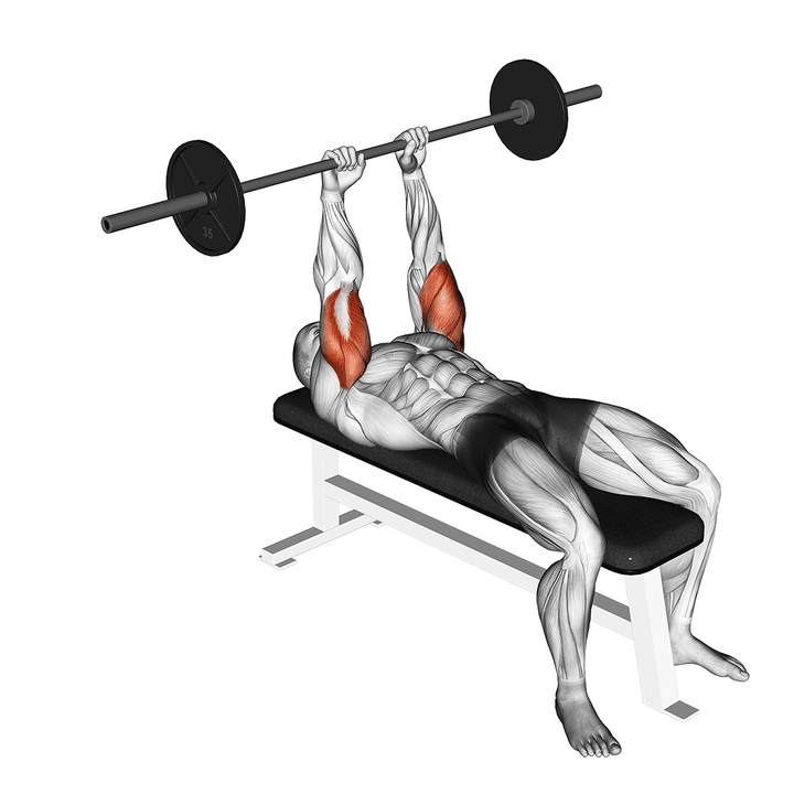 Demonstration of the barbell lying triceps extension