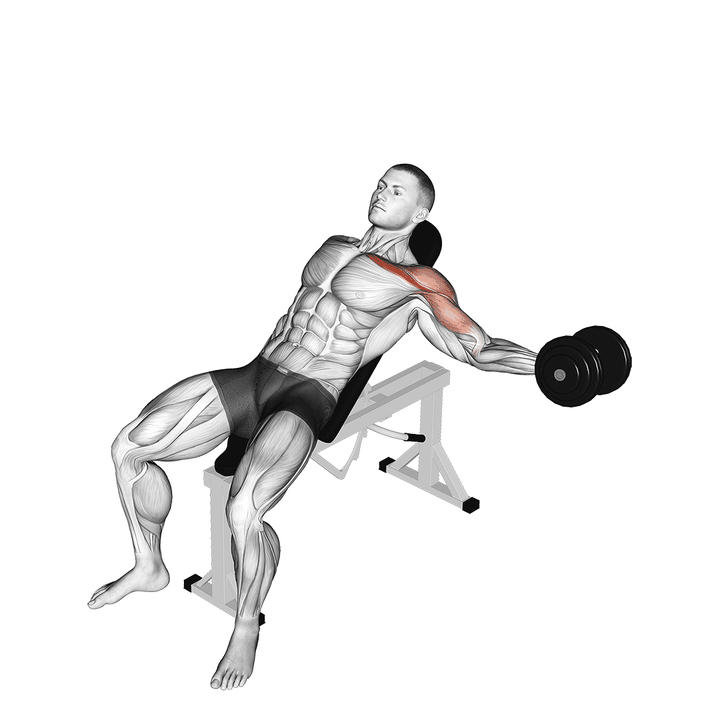 Demonstration of the dumbbell incline one arm fly