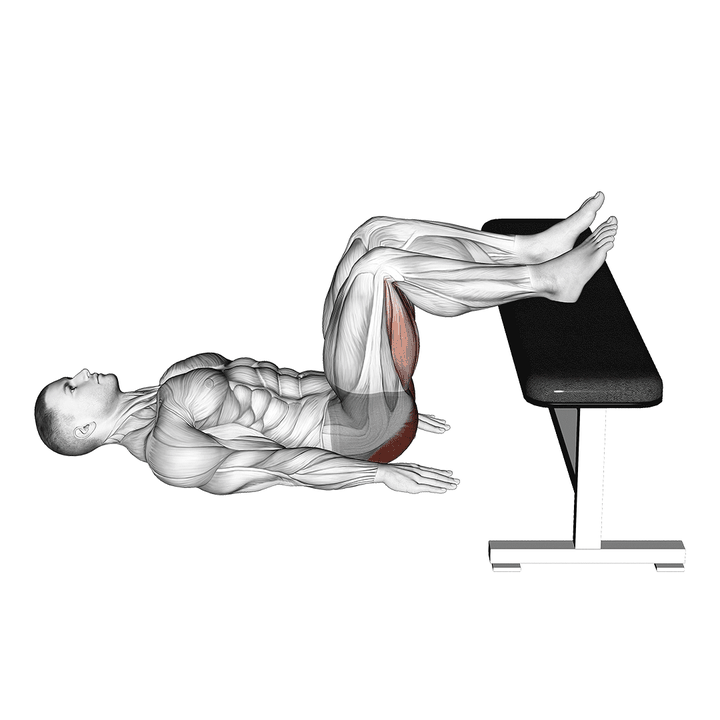 Demonstration of the glute bridge two legs on bench (male)