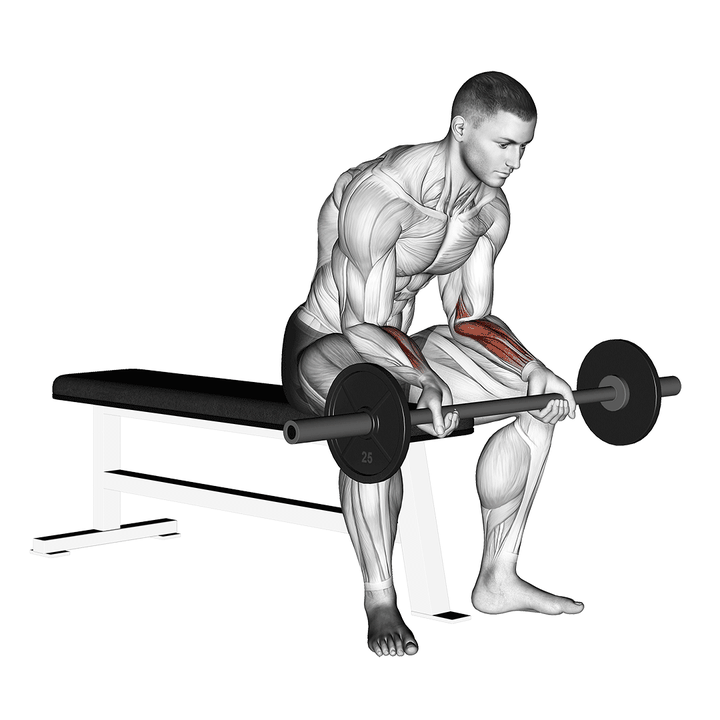 Demonstration of the barbell wrist curl