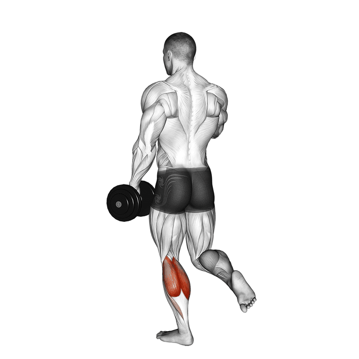 Demonstration of the dumbbell single leg calf raise