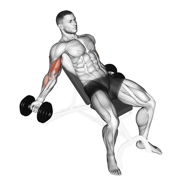 Demonstration of the dumbbell incline inner biceps curl