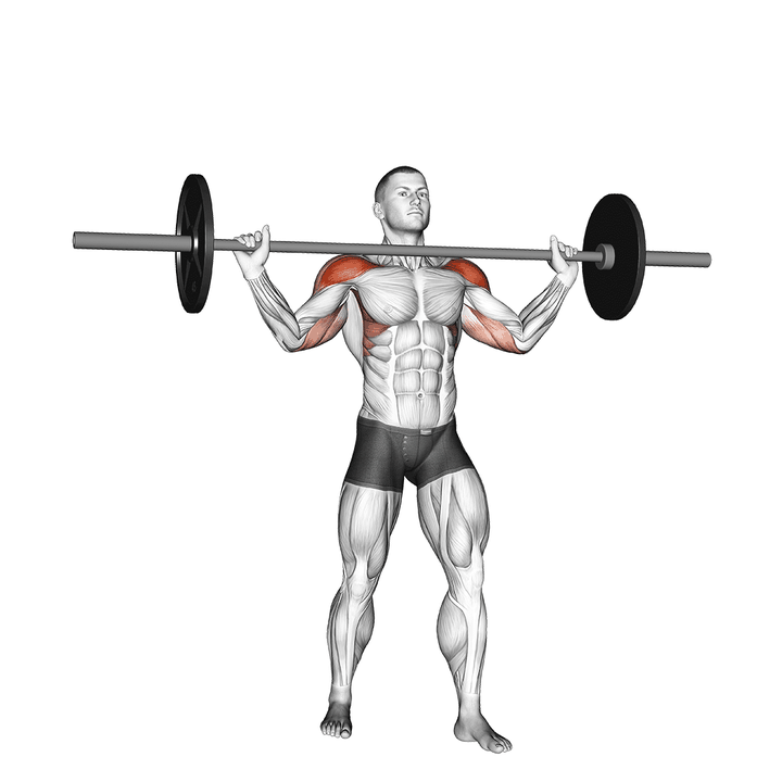 Demonstration of the barbell standing wide military press