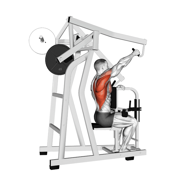 Demonstration of the lever one arm lateral high row linear