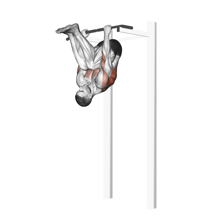Demonstration of the inverted row