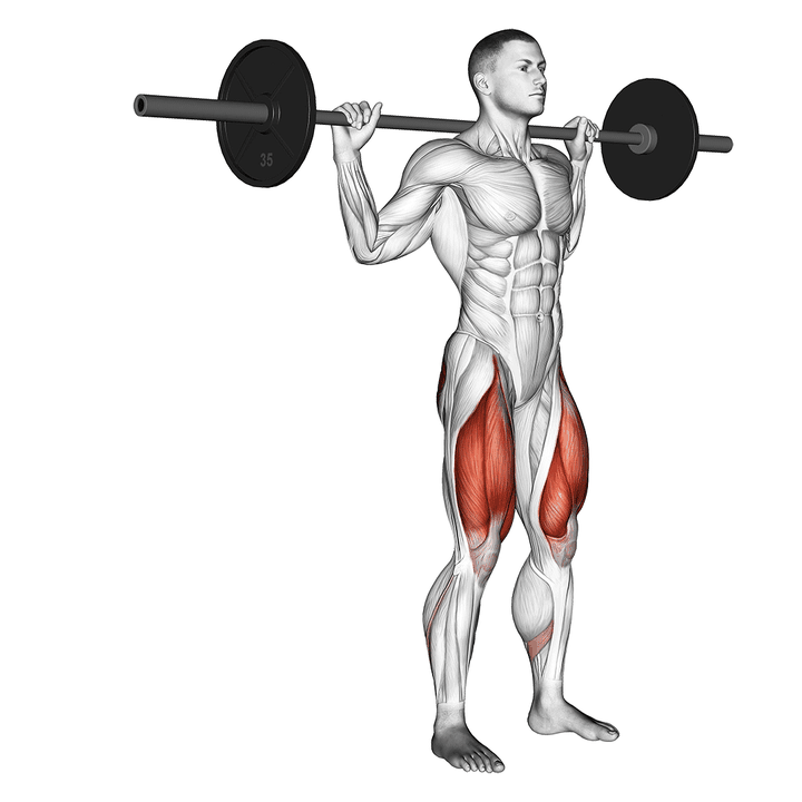 Demonstration of the barbell rear lunge