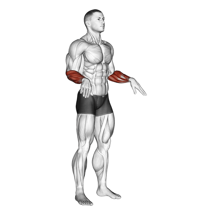 Demonstration of the wrist circles