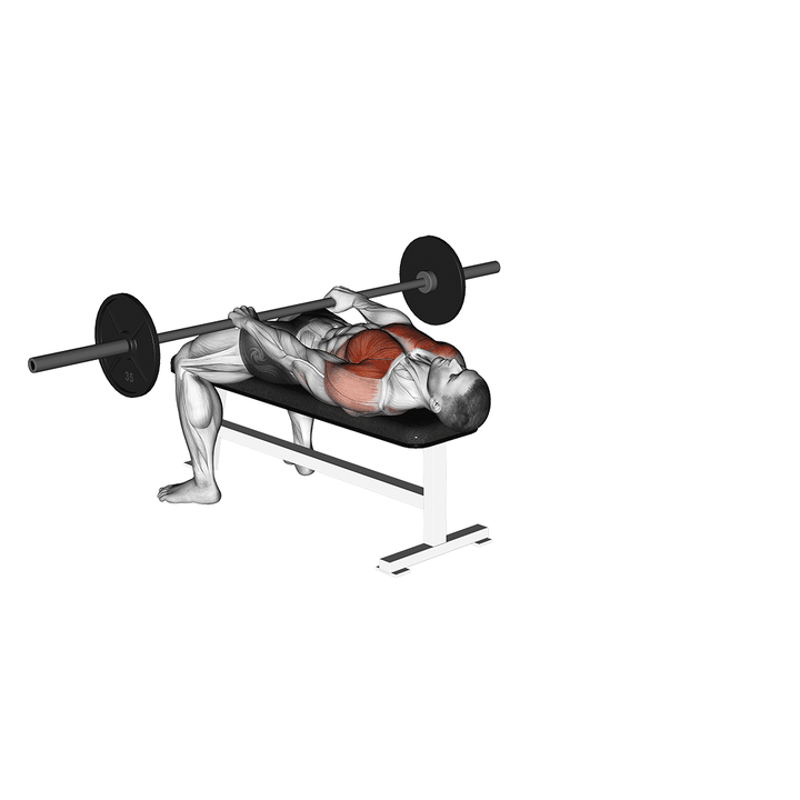 Demonstration of the barbell front raise and pullover