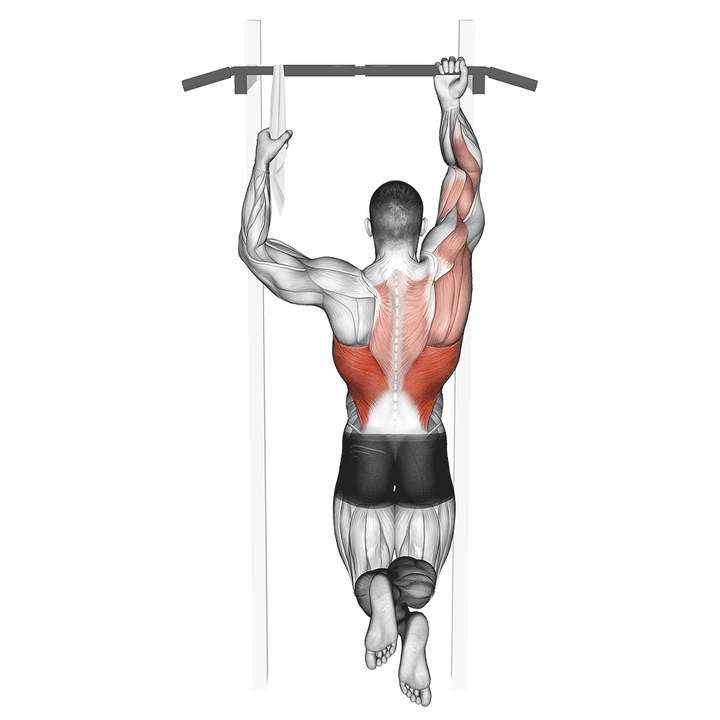 Demonstration of the one arm chin-up