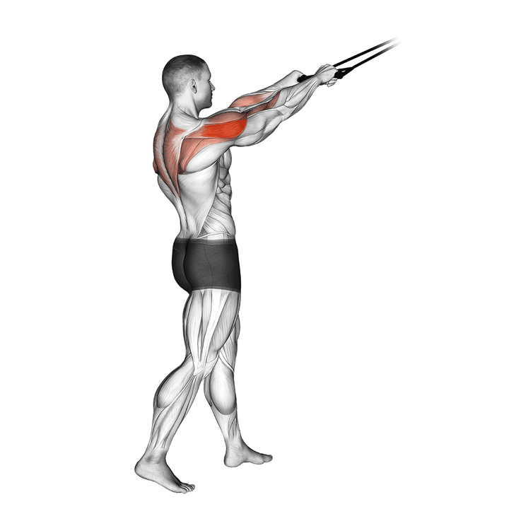 Demonstration of the band standing rear delt row