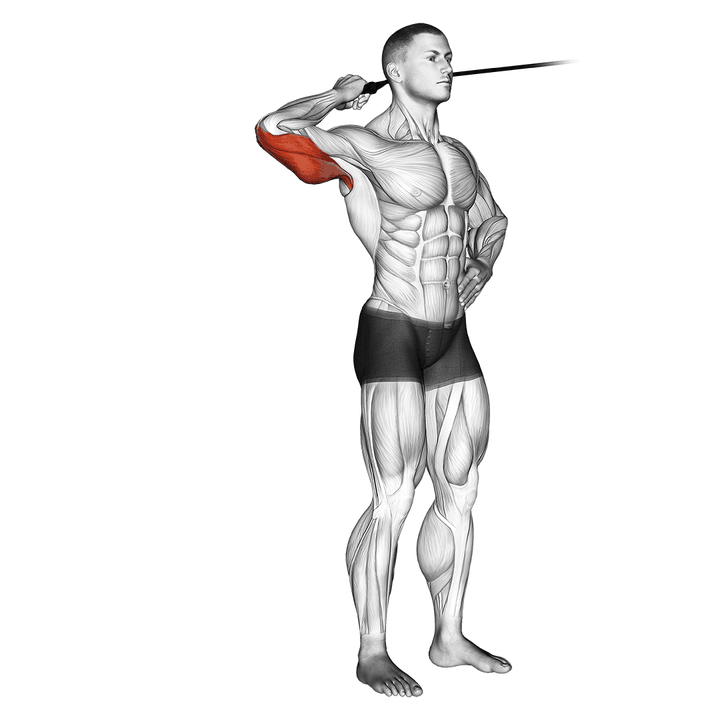Demonstration of the band side triceps extension