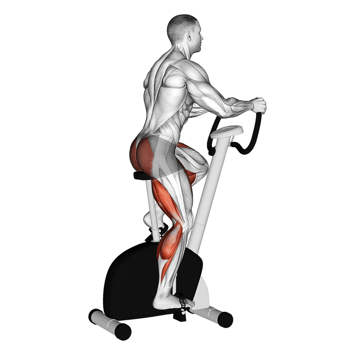 Demonstration of the stationary bike walk