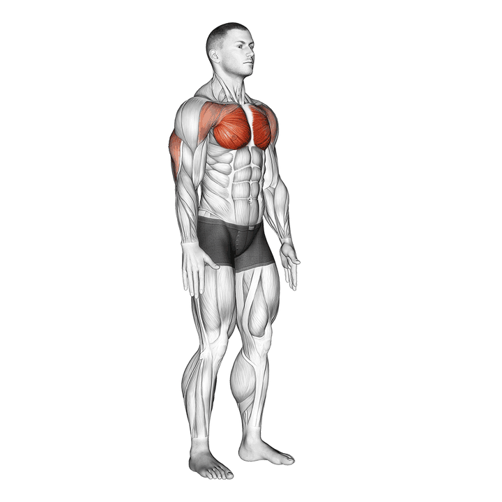 Demonstration of the isometric chest squeeze