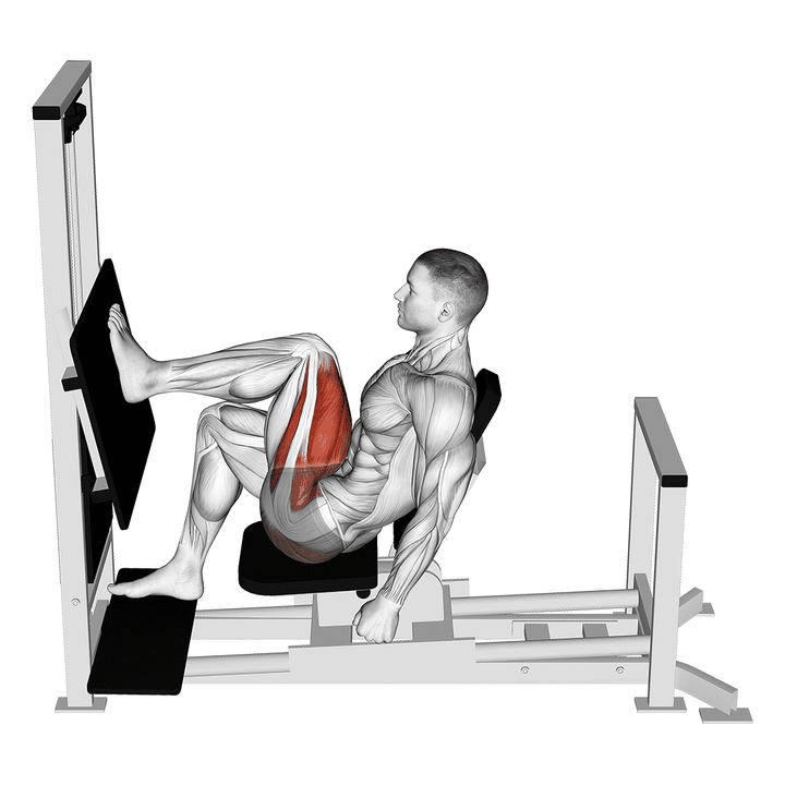 Demonstration of the lever horizontal one leg press