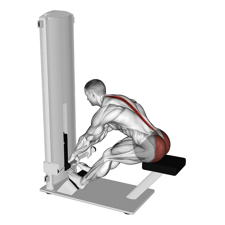 Demonstration of the lever seated good morning