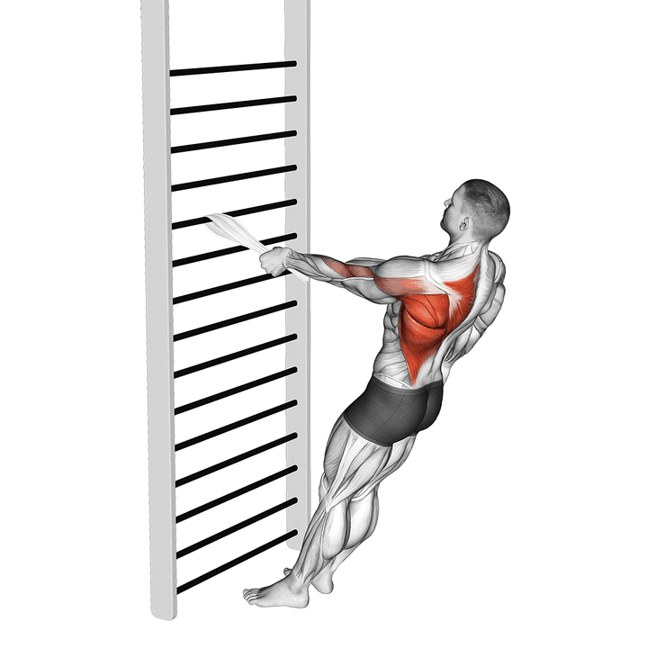 Demonstration of the bodyweight standing one arm row (with towel)