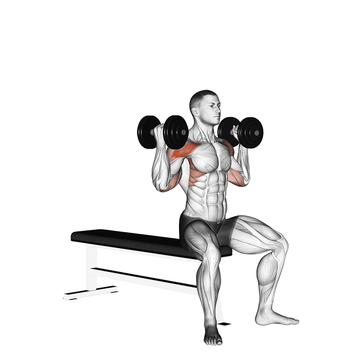 Demonstration of the dumbbell arnold press