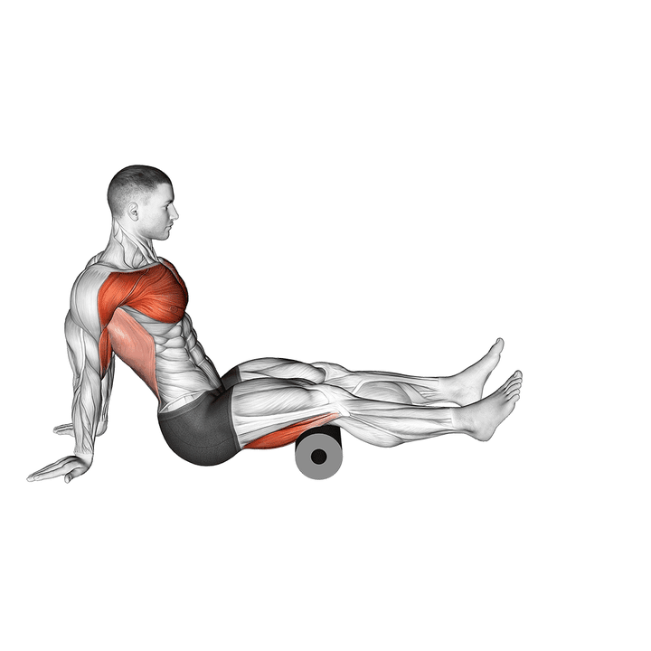 Demonstration of the super roller seated shoulder flexor depresor retractor