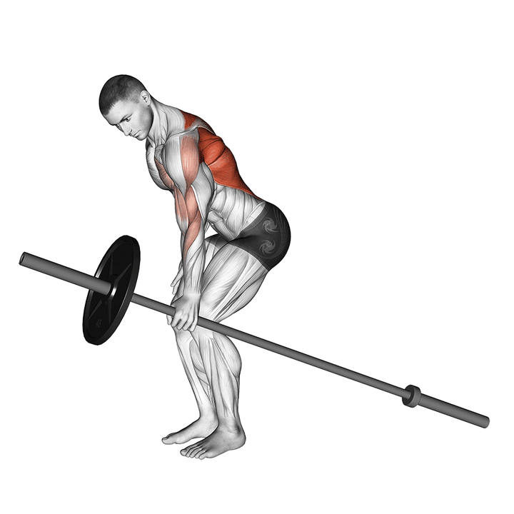 Demonstration of the barbell one arm bent over row