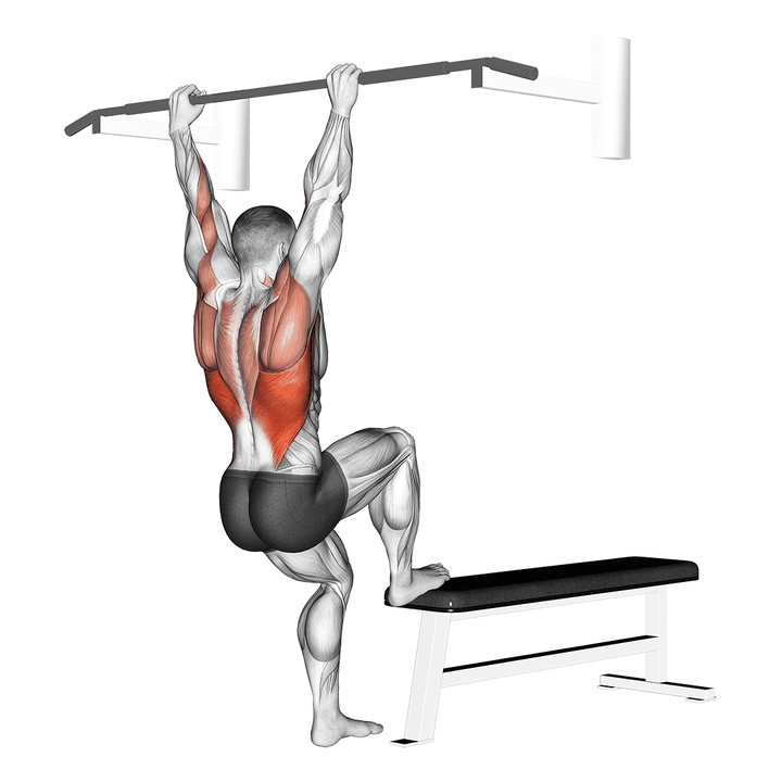 Demonstration of the bench pull-ups