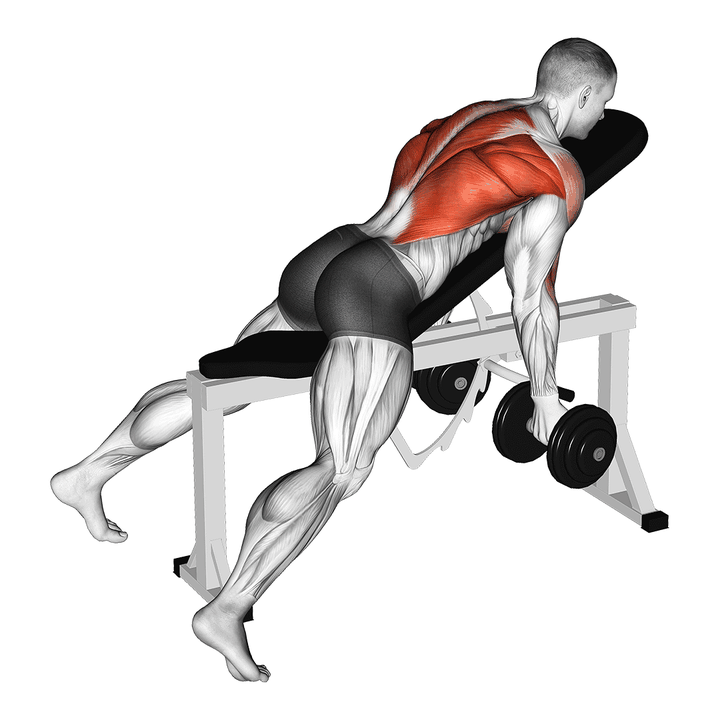 Demonstration of the dumbbell lying rear delt row