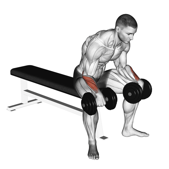 Demonstration of the dumbbell reverse wrist curl