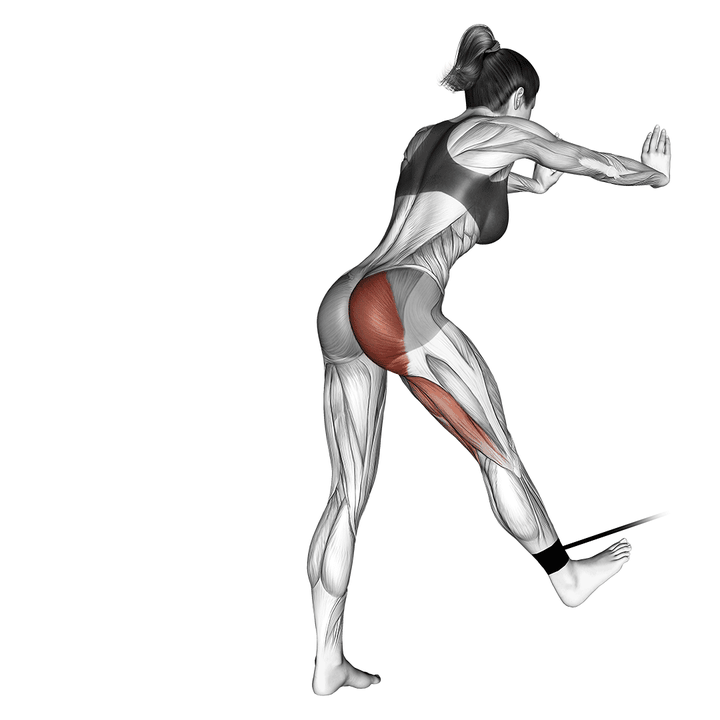 Demonstration of the band bent-over hip extension