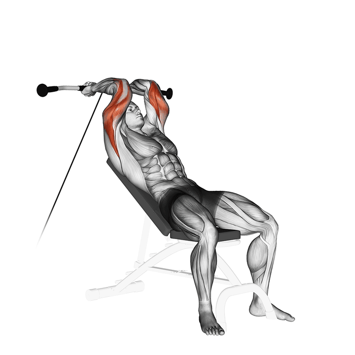 Demonstration of the cable incline triceps extension