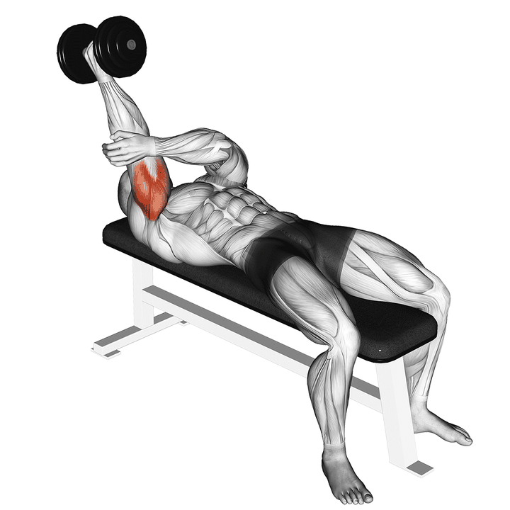 Demonstration of the dumbbell lying one arm supinated triceps extension