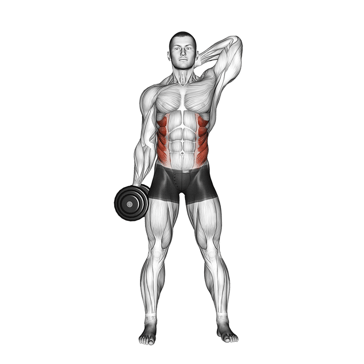 Demonstration of the dumbbell side bend
