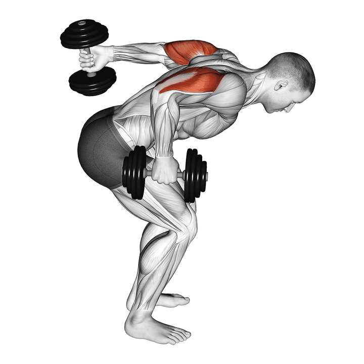 Demonstration of the dumbbell standing alternating tricep kickback