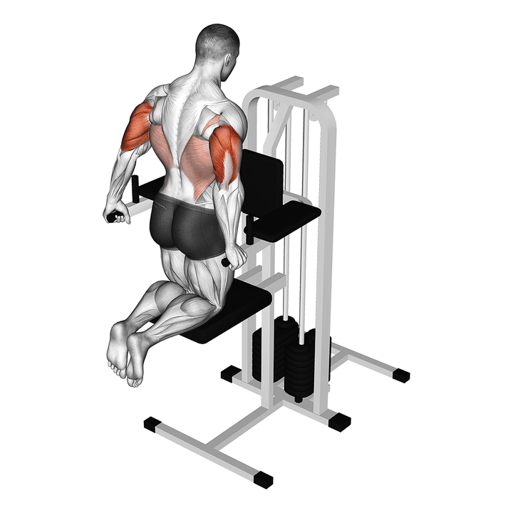 Demonstration of the assisted triceps dip (kneeling)