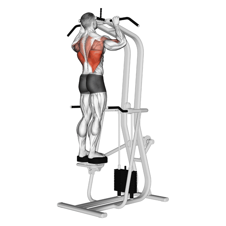 Demonstration of the assisted standing pull-up