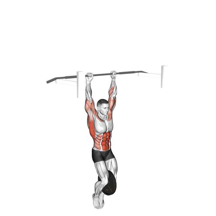 Demonstration of the weighted muscle up (on bar)