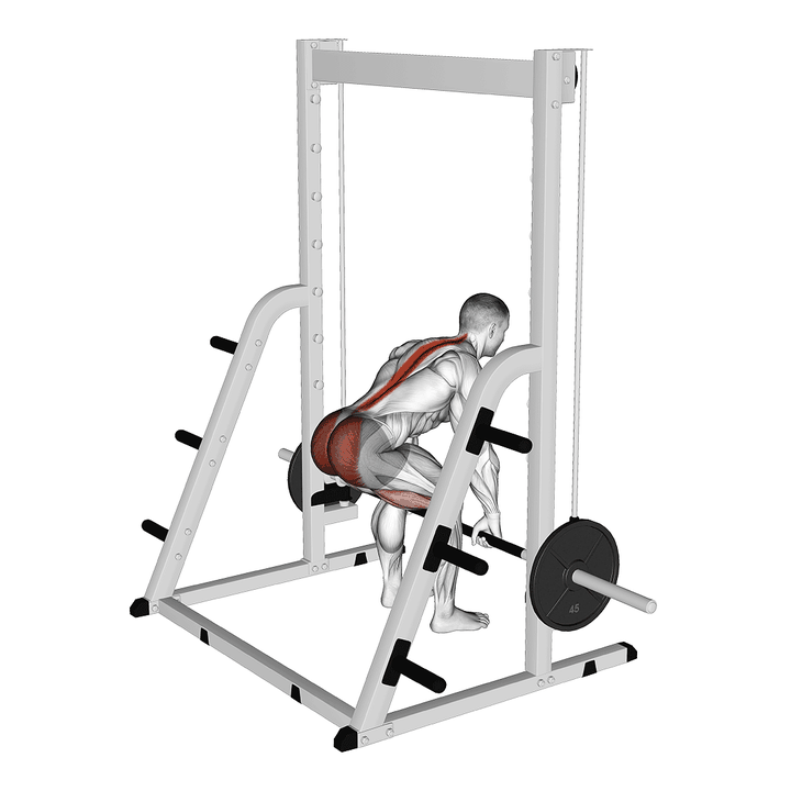 Demonstration of the smith deadlift