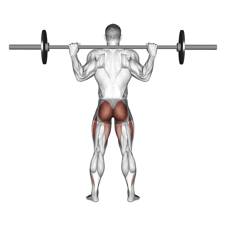 Demonstration of the barbell full squat (back pov)